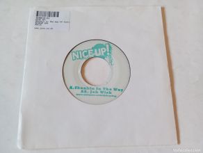 Discos de vinilo: DJ Shepdog – Skankin In The Way / Jah Wish - 2008 - SINGLE